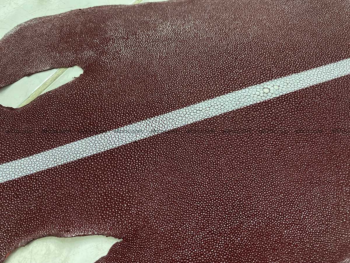 Stingray skin 8 inches round shape 2313 Foto 1