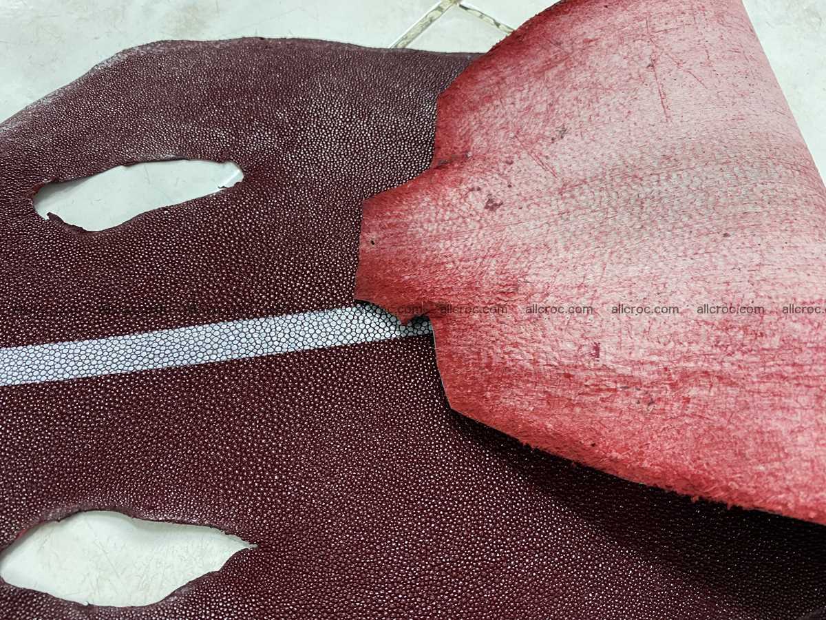 Stingray skin 8 inches round shape 2313 Foto 4