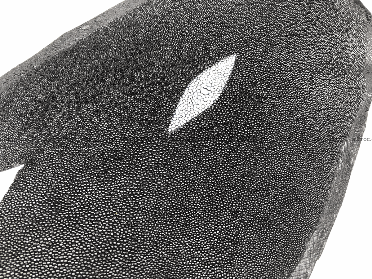 Stingray skin round shape 6 inches 606 Foto 2