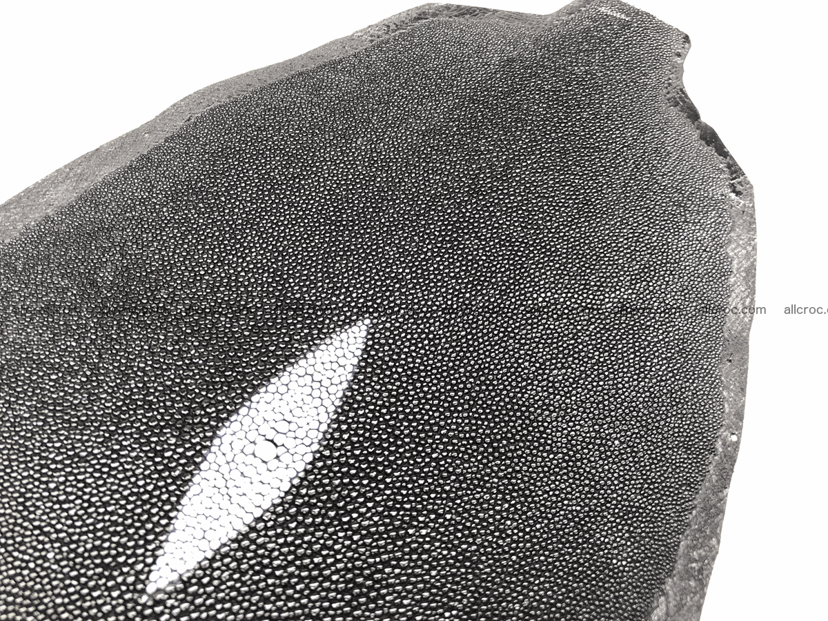 Stingray skin round shape 6 inches 606 Foto 3