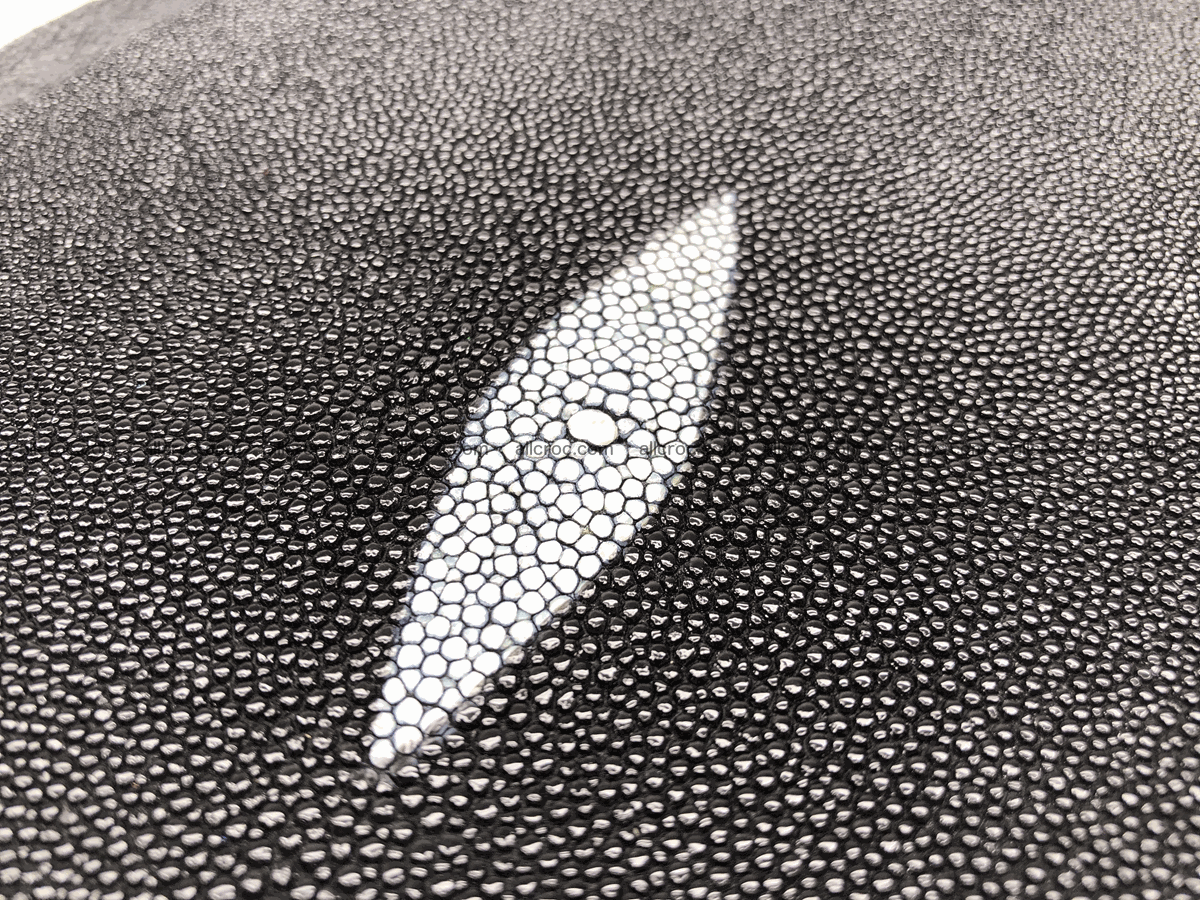 Stingray skin round shape 6 inches 606 Foto 4