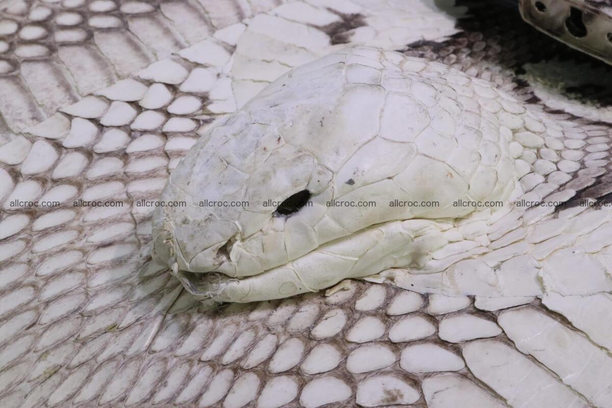 Handbag for lady from cobra skin copy of Birkin with cobra head 191 Foto 6