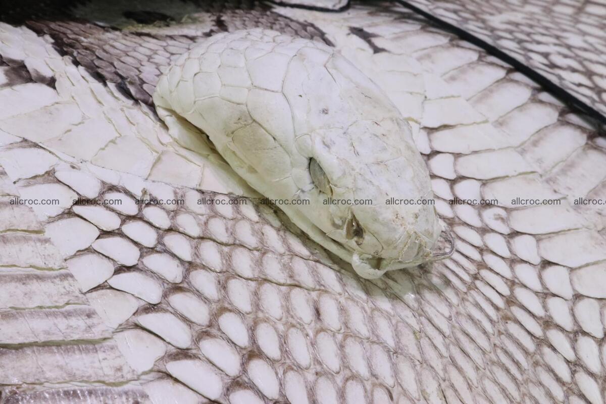 Handbag for lady from cobra skin copy of Birkin with cobra head 191 Foto 7