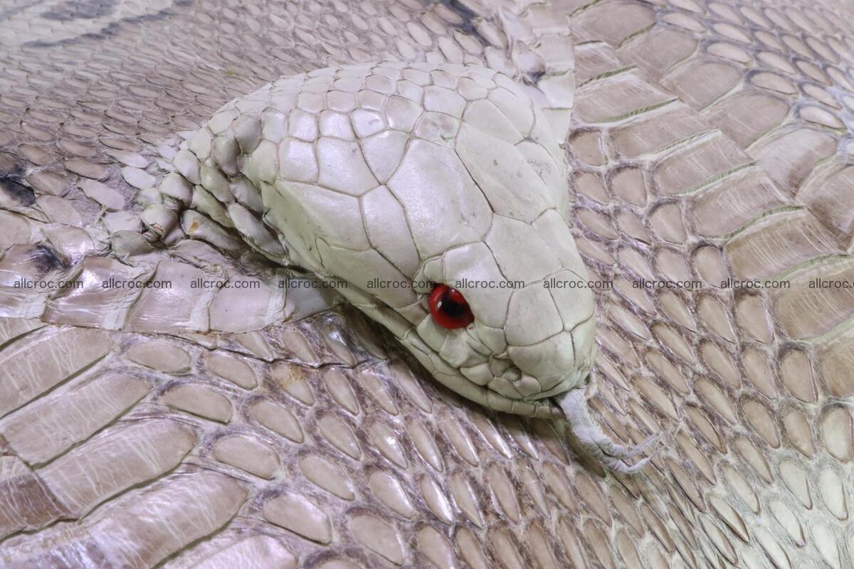 Handbag for lady from cobra skin with cobra head 189 Foto 6