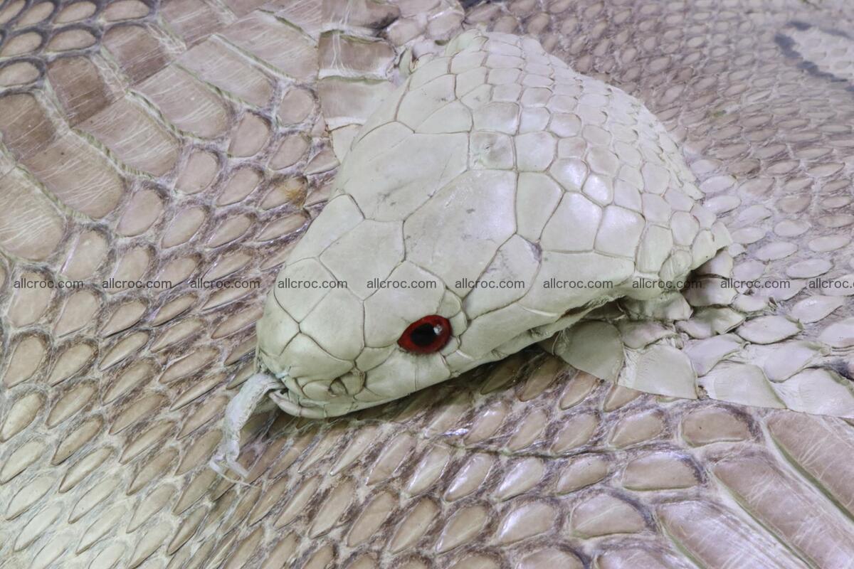 Handbag for lady from cobra skin with cobra head 189 Foto 8