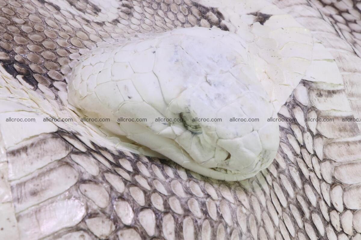 Handbag for lady from cobra skin with cobra head  165 Foto 6
