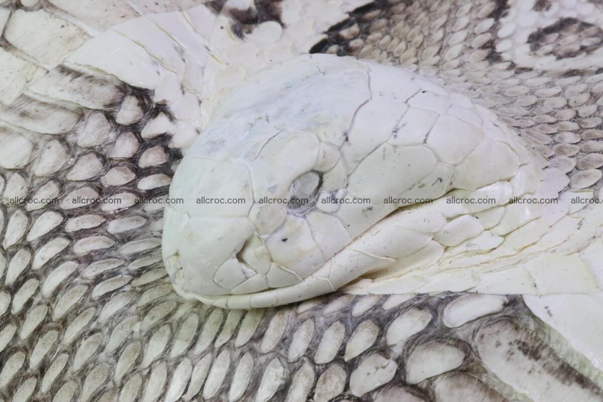 Handbag for lady from cobra skin with cobra head  165 Foto 8