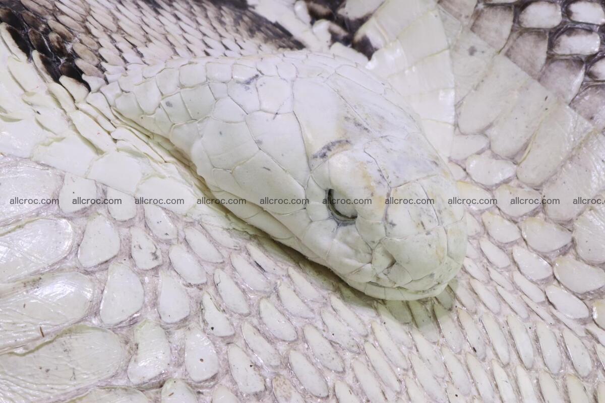 Handbag for lady from cobra skin with cobra head 168 Foto 10