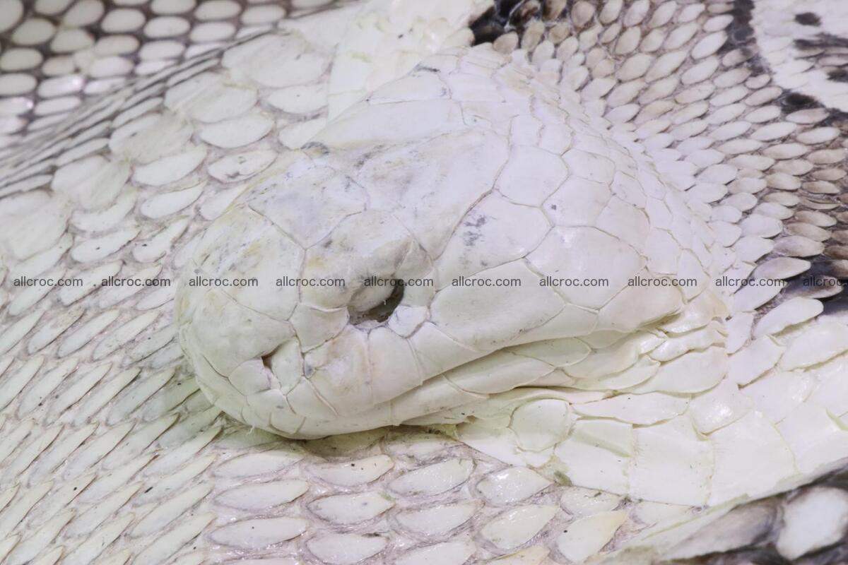 Handbag for lady from cobra skin with cobra head 168 Foto 11