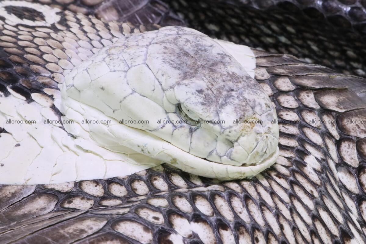 Handbag for lady from cobra skin with cobra head 169 Foto 10