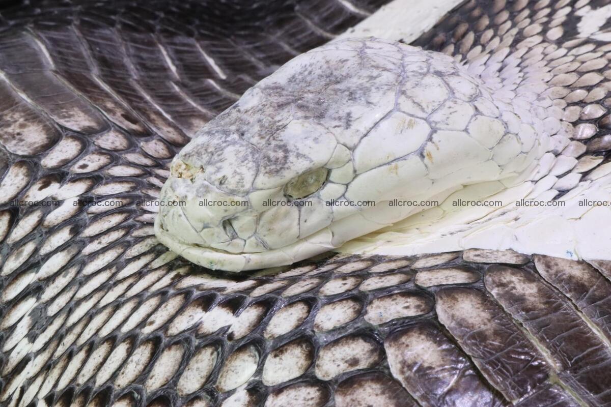 Handbag for lady from cobra skin with cobra head 169 Foto 11