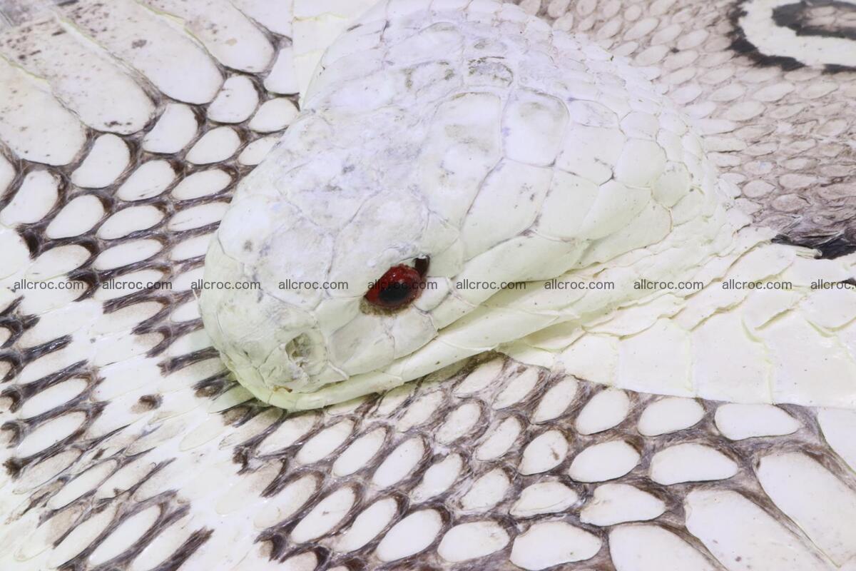 Handbag from cobra skin for lady 188 Foto 6