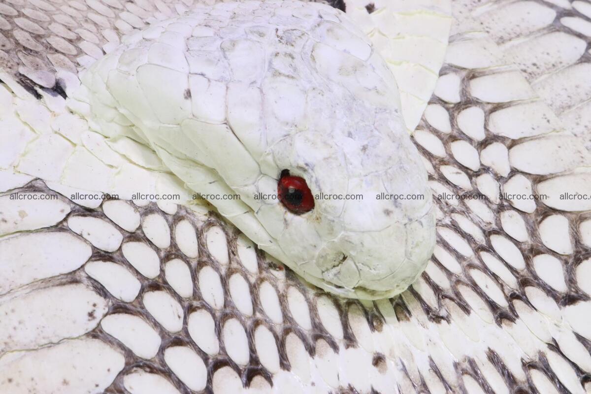 Handbag from cobra skin for lady 188 Foto 7