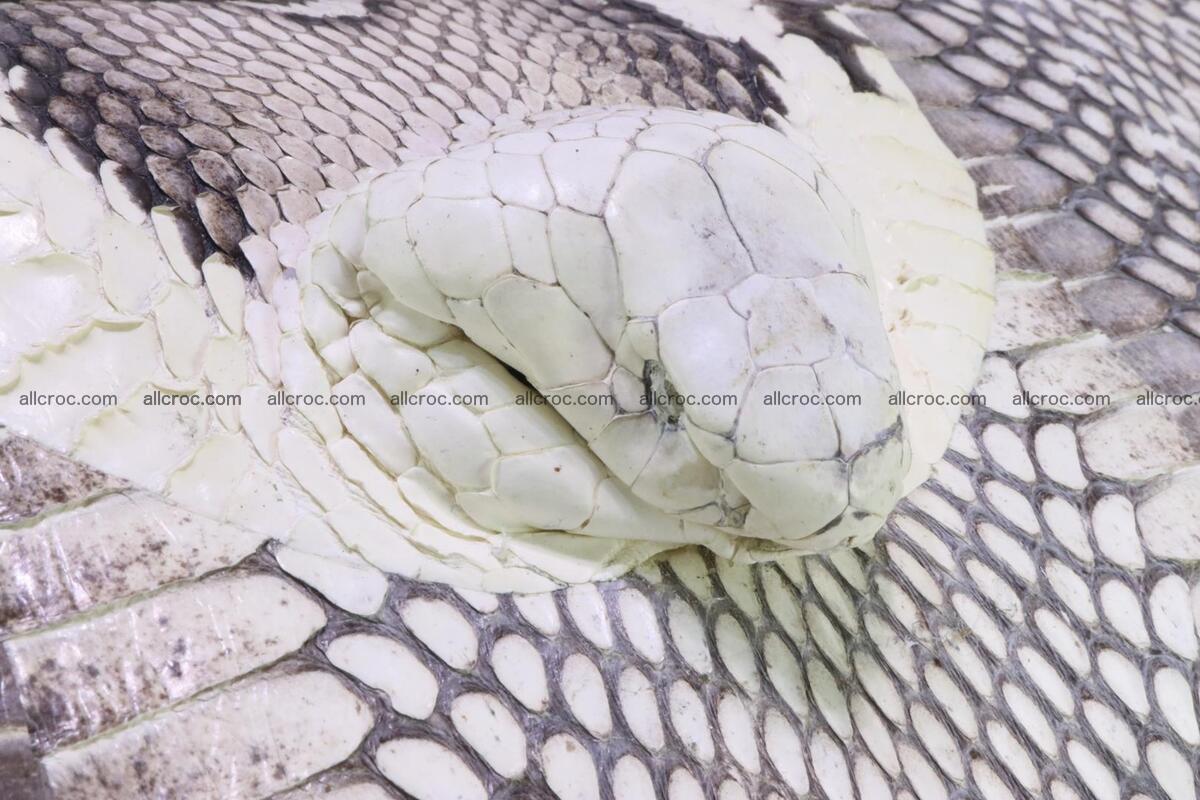 Handbag from cobra skin for lady 183 Foto 14