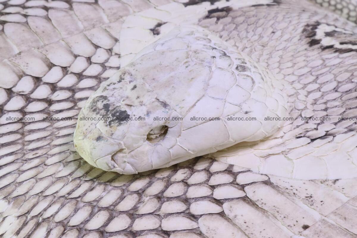 Handbag from cobra skin with head of cobra 170 Foto 7