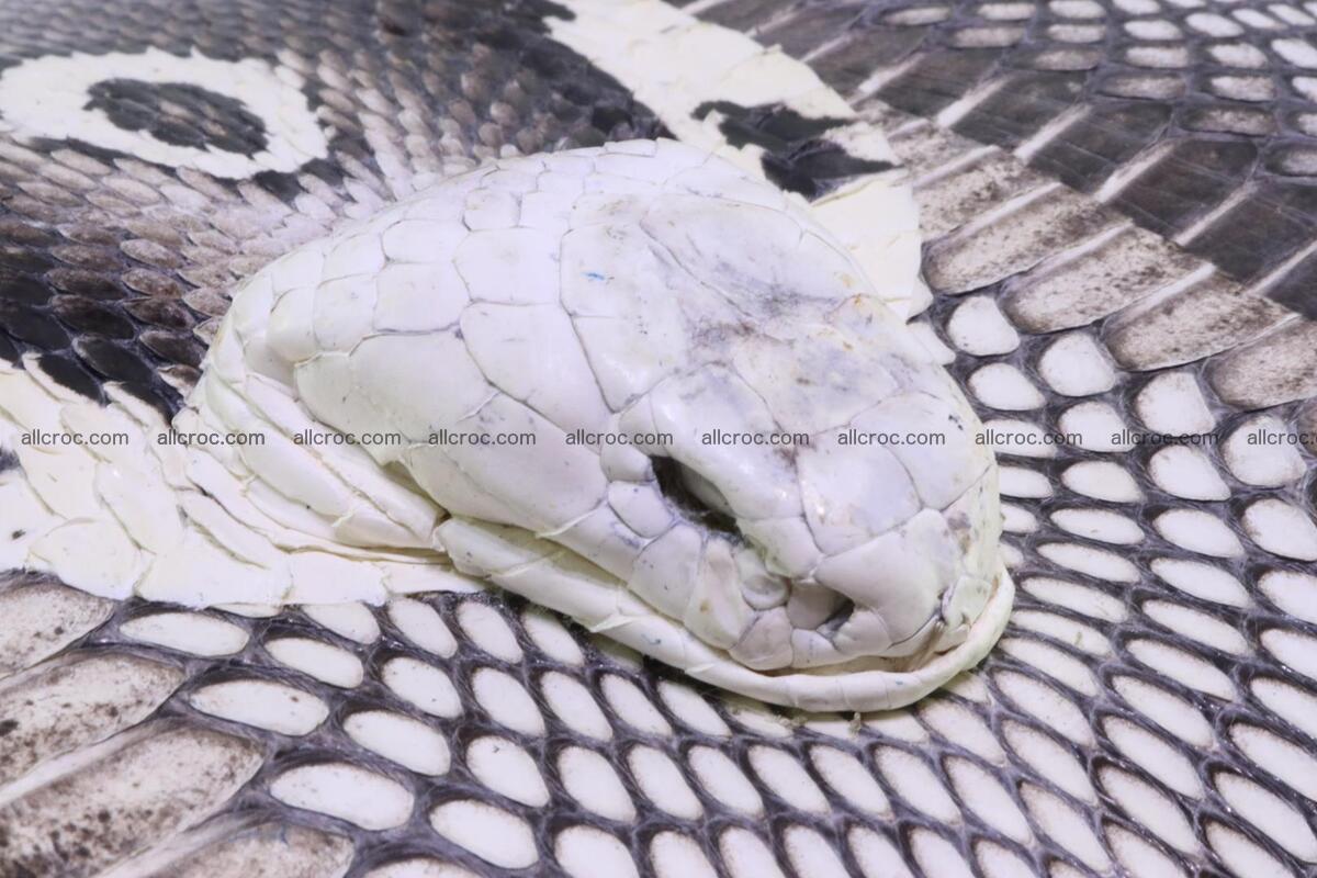 Handbag from cobra skin with head of cobra 171 Foto 3