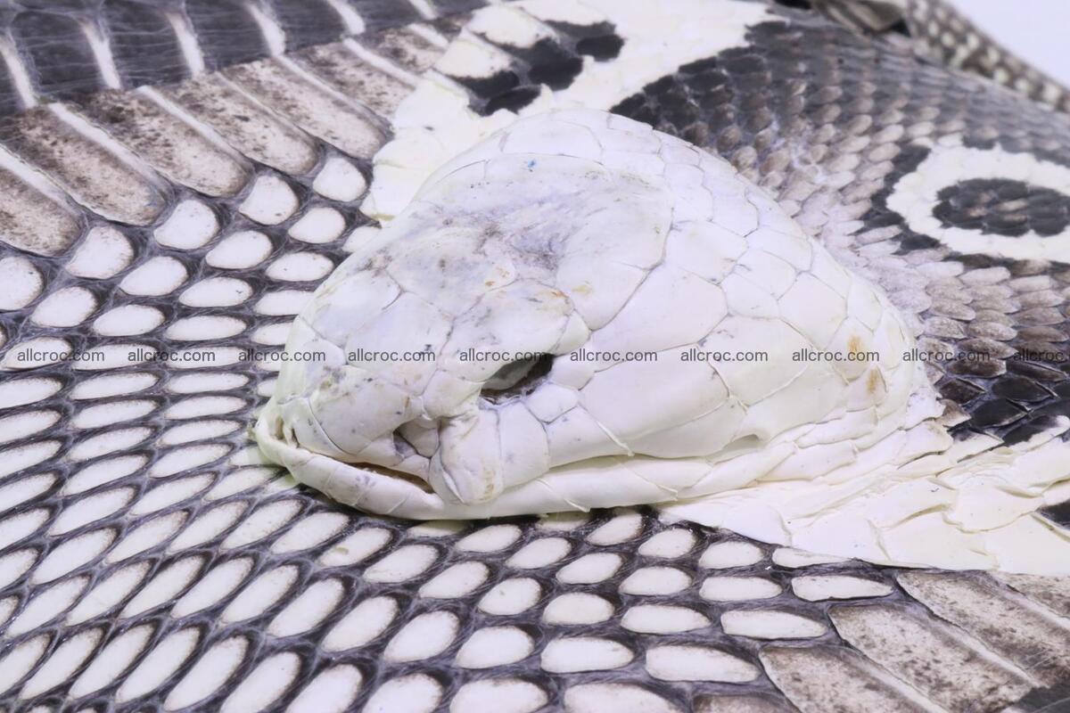 Handbag from cobra skin with head of cobra 171 Foto 4