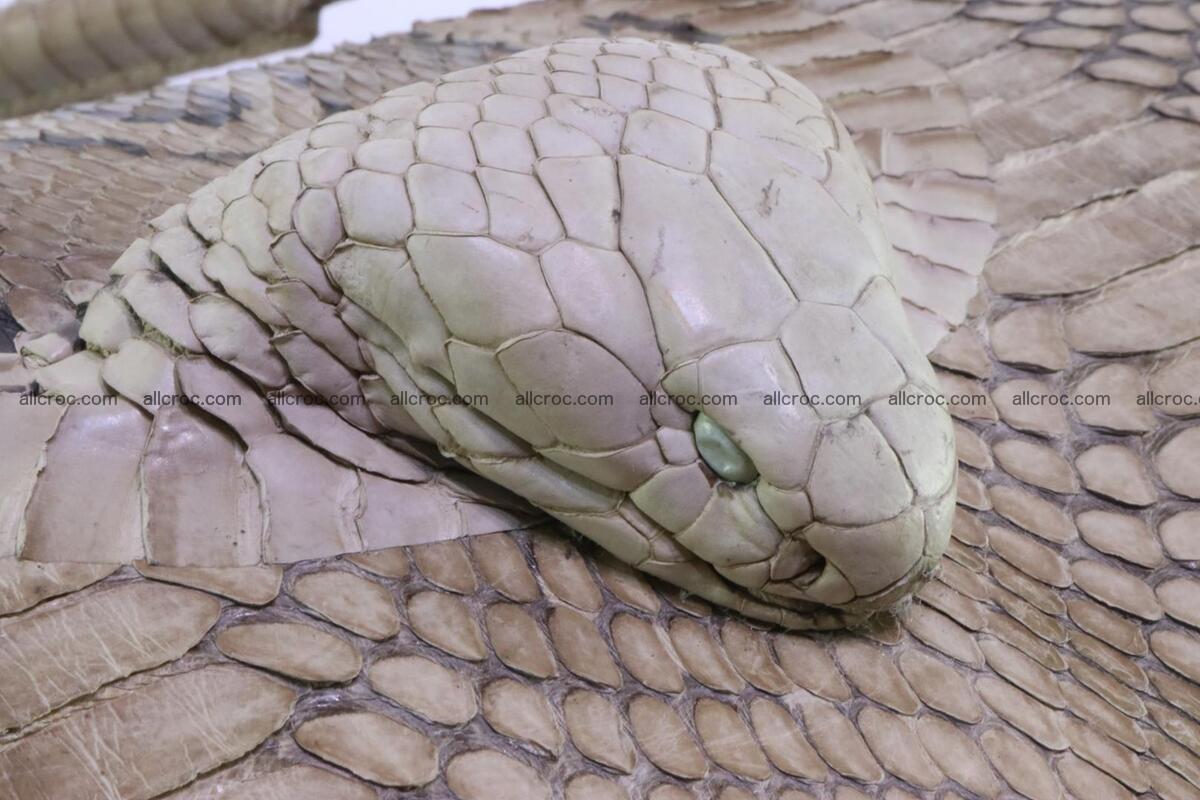 Handbag from cobra skin with head of cobra 172 Foto 5
