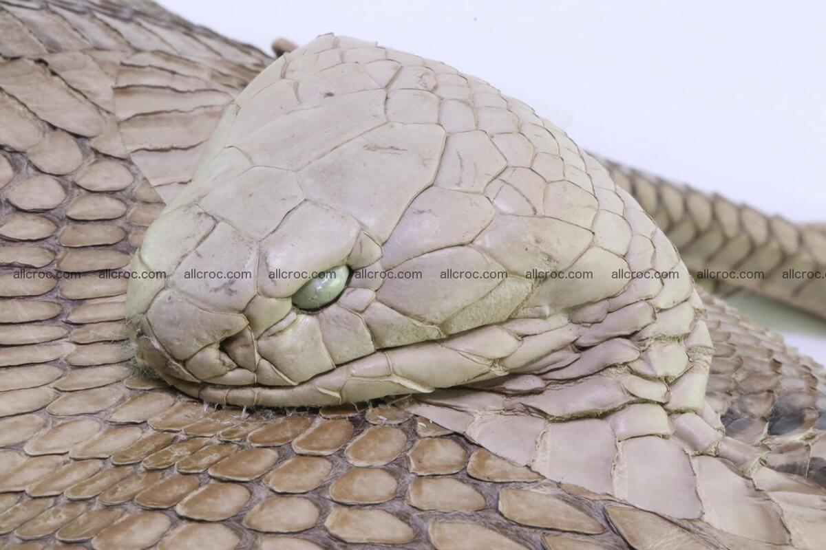 Handbag from cobra skin with head of cobra 172 Foto 6