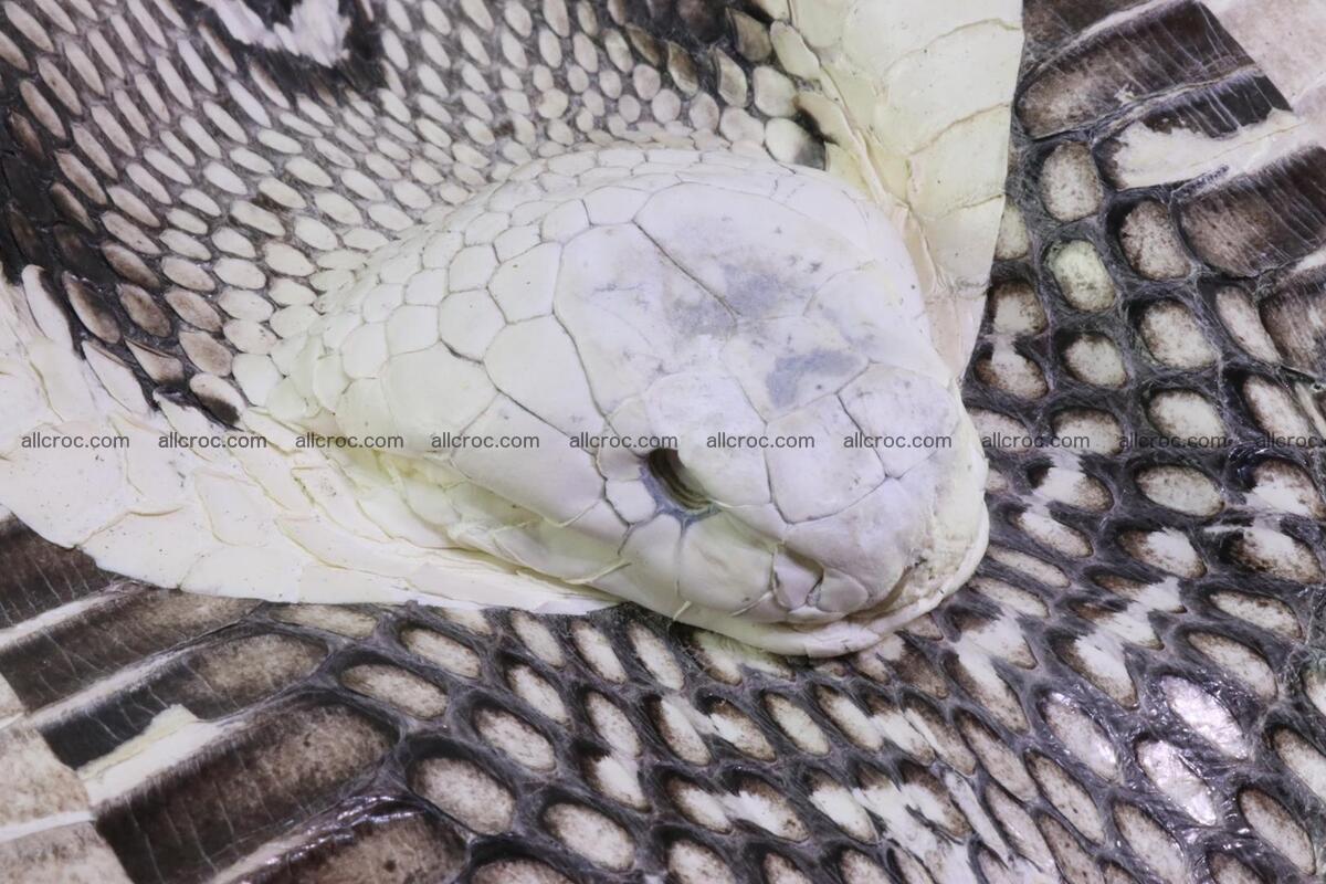 Handbag from cobra skin with head of cobra 173 Foto 5