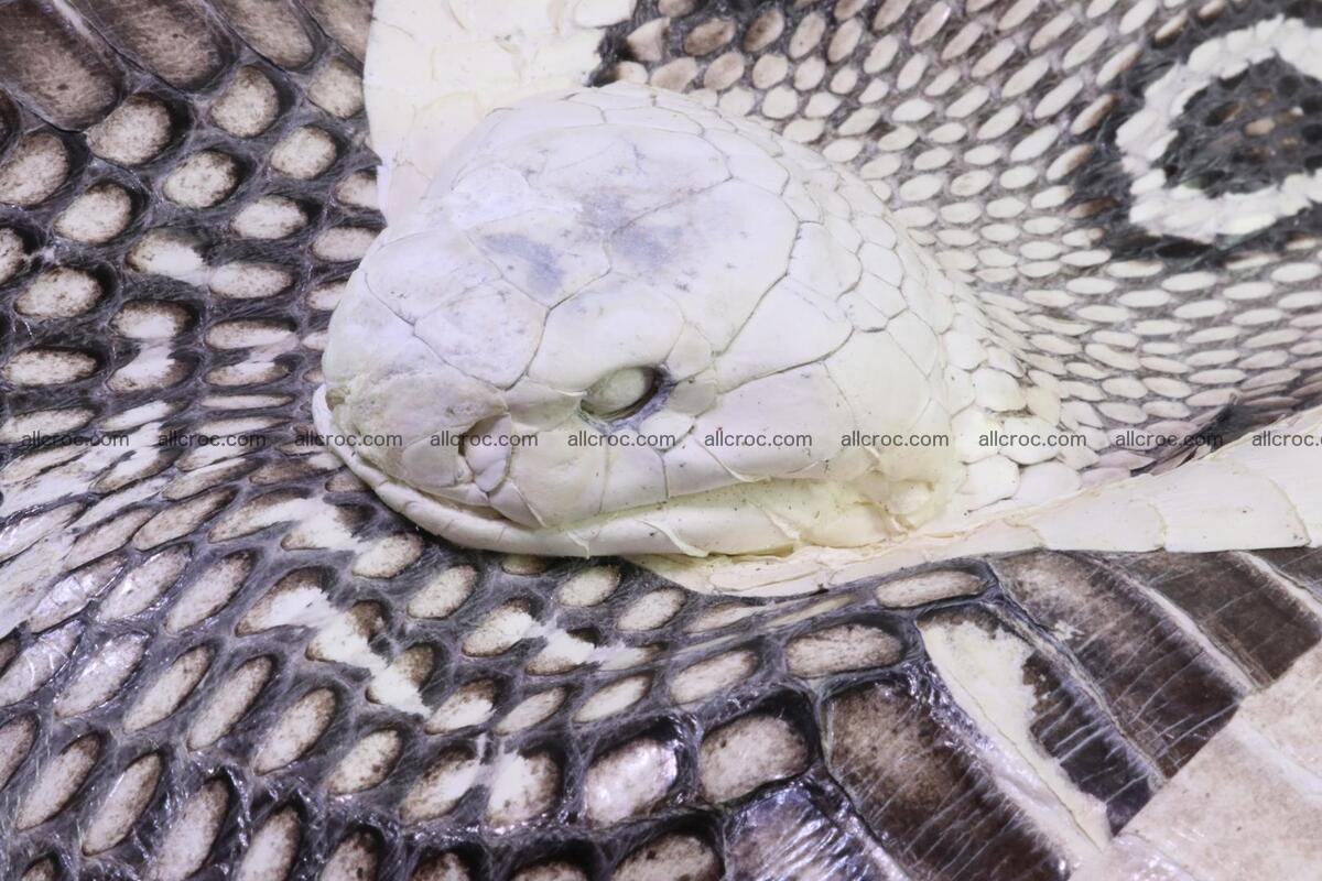 Handbag from cobra skin with head of cobra 173 Foto 7