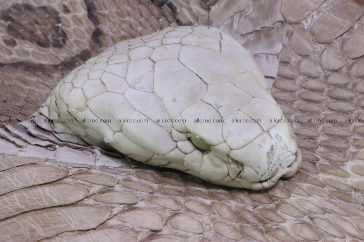 Handbag from cobra skin with head of cobra 174 Foto 9