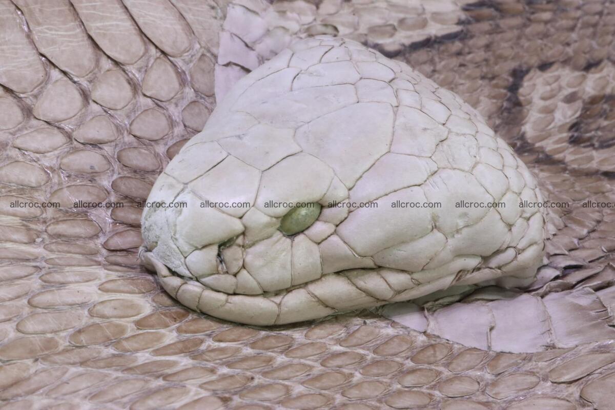 Handbag from cobra skin with head of cobra 174 Foto 10