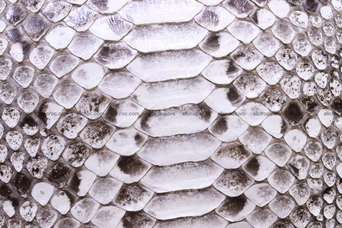 Ladies handbag, valise from genuine python skin MINI 209 Foto 6