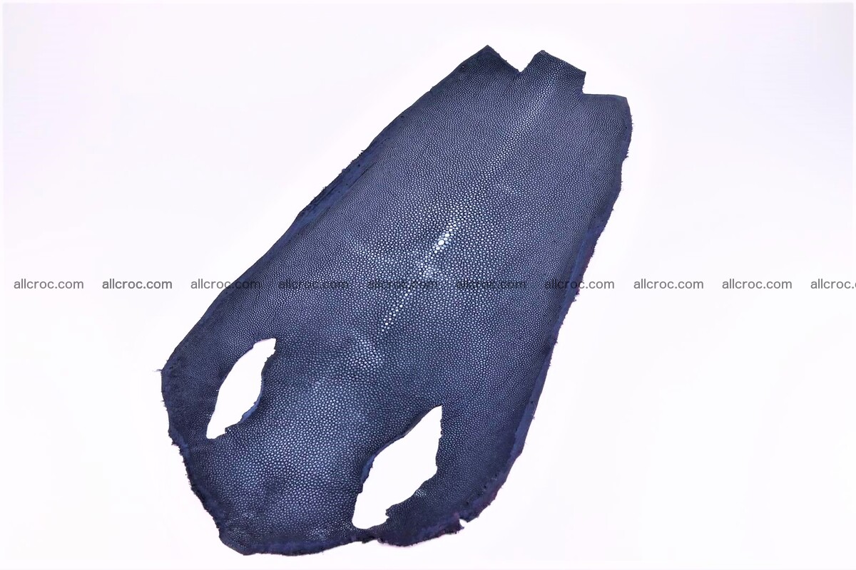 Sanded stingray skin long shape 8 inches 1278 Foto 0