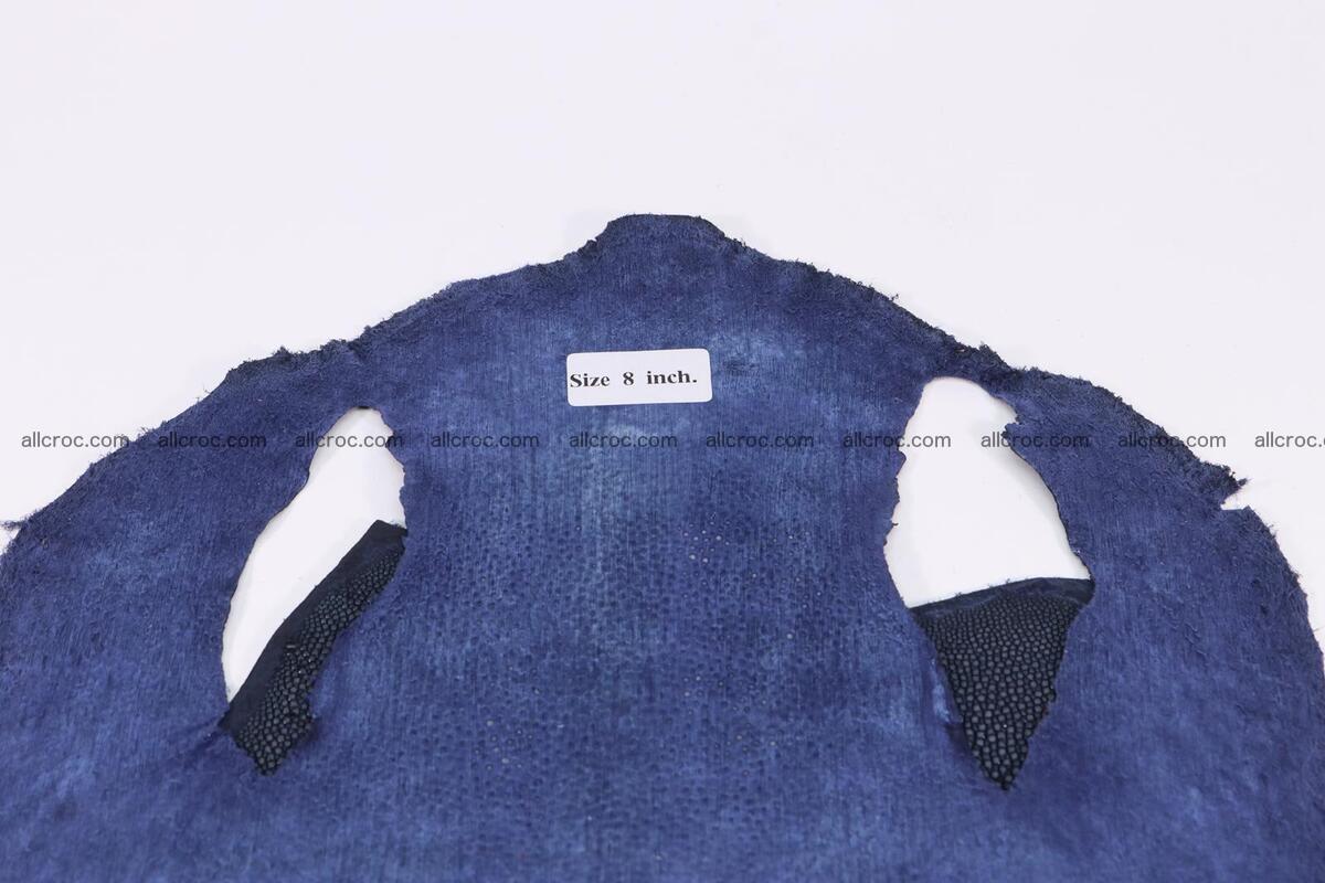 Sanded stingray skin long shape 8 inches 1278 Foto 4