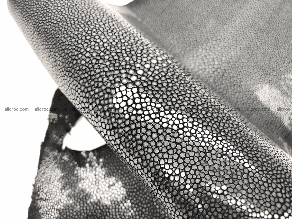 Polished stingray skin long shape 7 inches 601 Foto 3