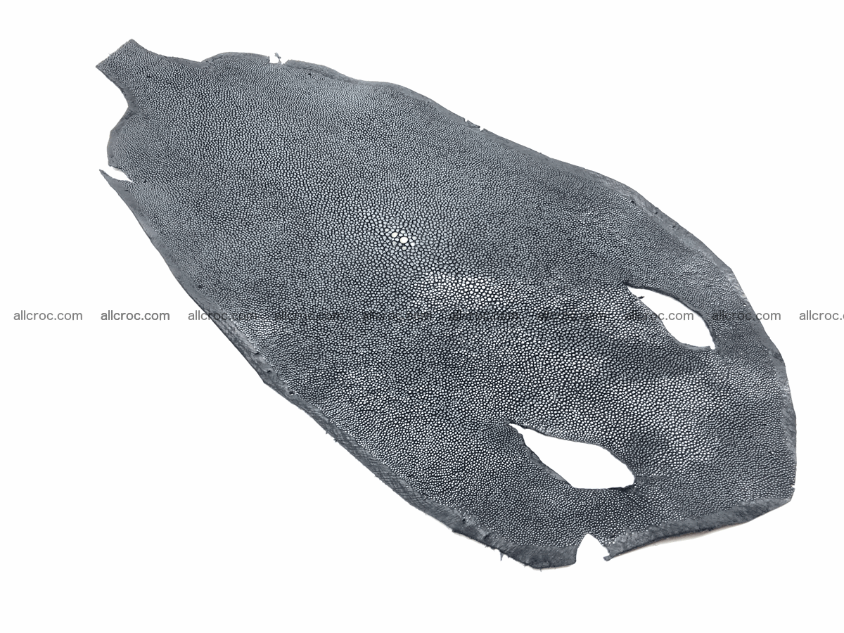 Polished stingray skin round shape 7 inches 603 Foto 1