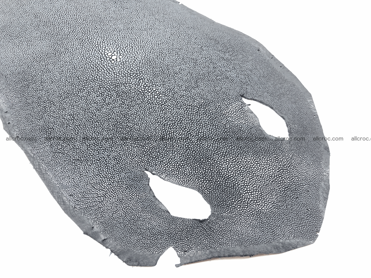 Polished stingray skin round shape 7 inches 603 Foto 2