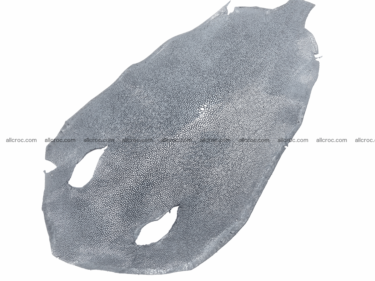 Polished stingray skin round shape 7 inches 603 Foto 0
