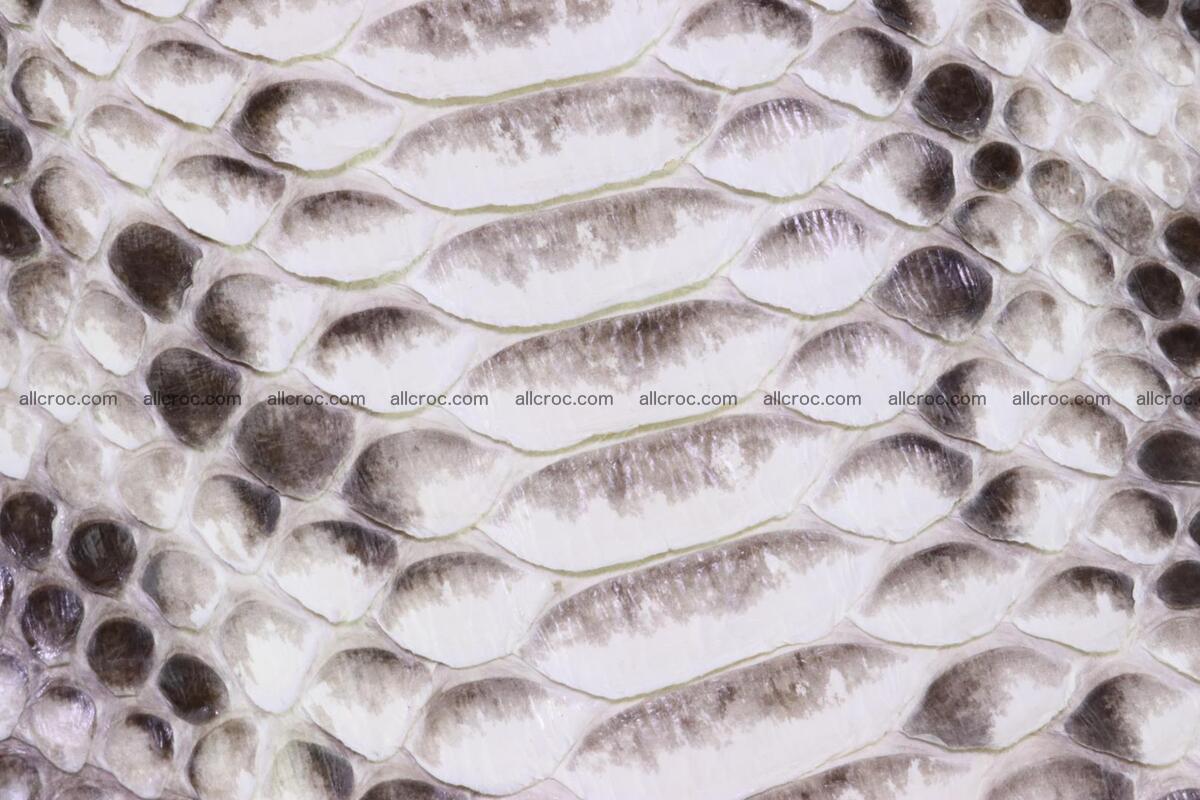 Python handbag for lady 175 Foto 8