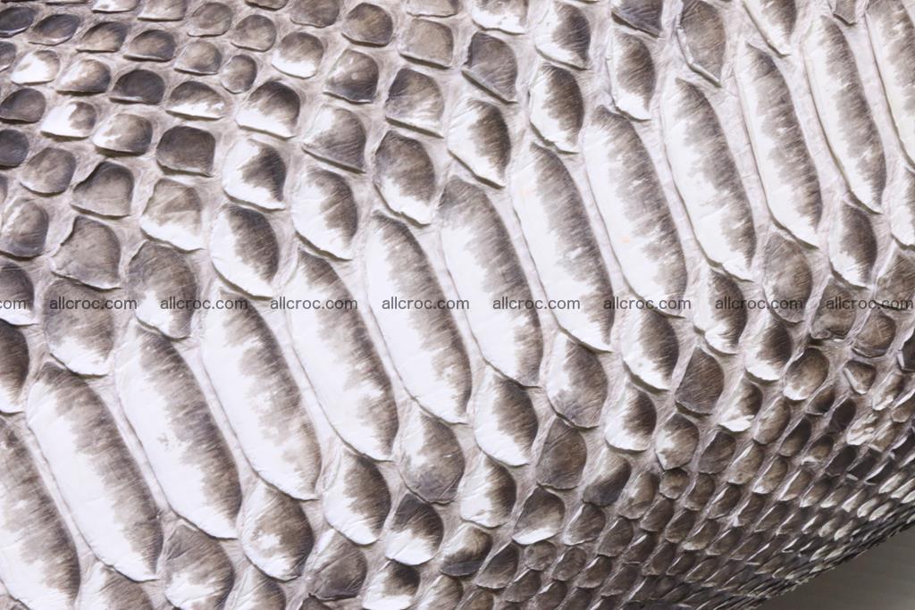 Python ladies clutch 413 Foto 15