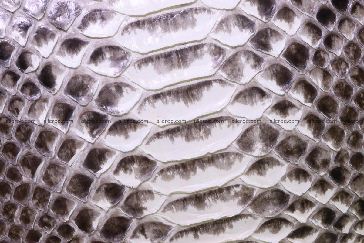 Python skin ladies handbag 221 Foto 5