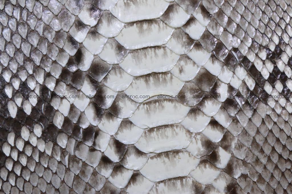 Python womens handbag 396 Foto 10