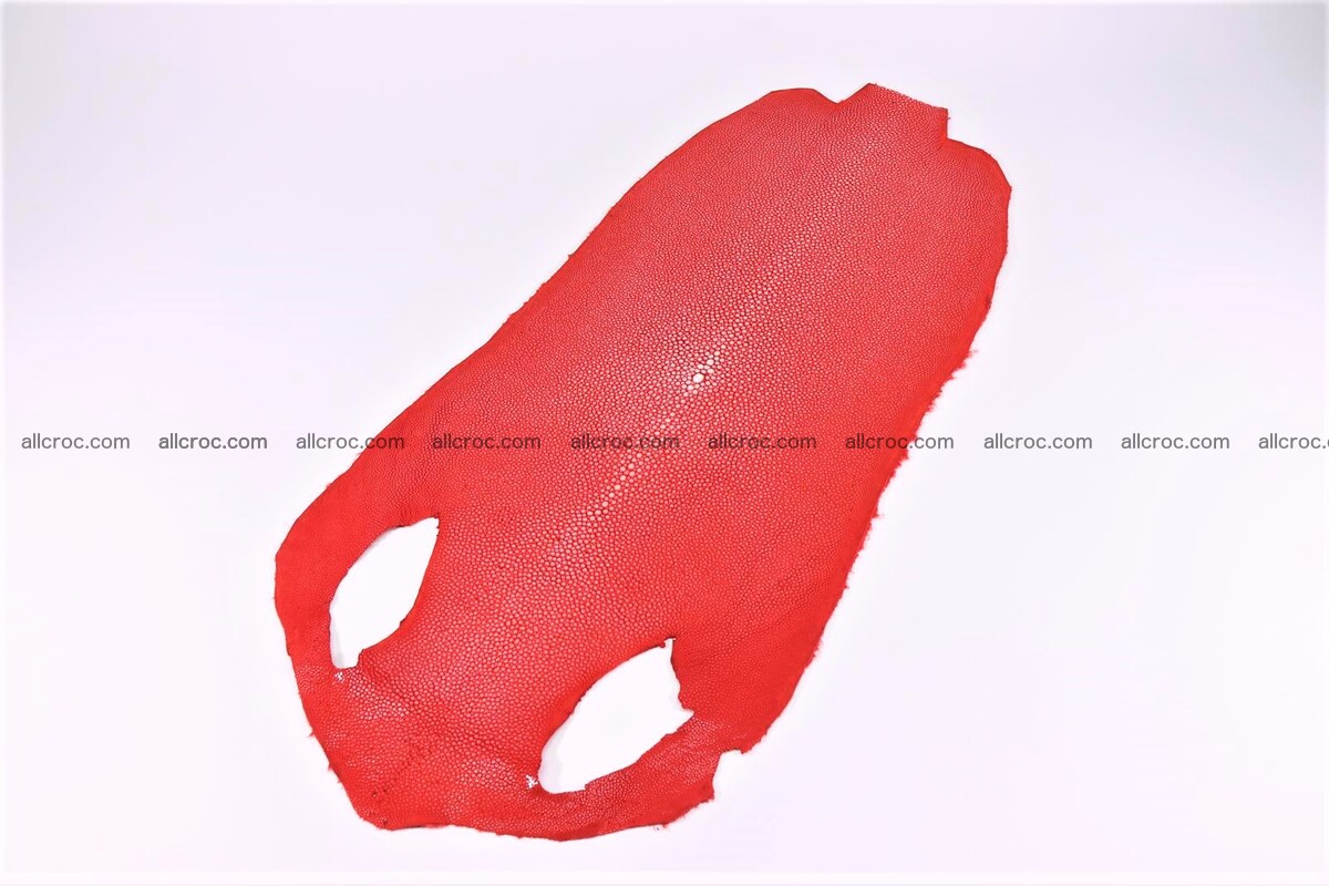 Sanded stingray skin long shape 8 inches 1276 Foto 0