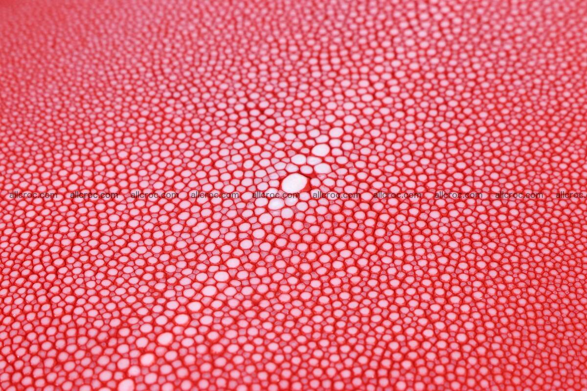 Sanded stingray skin long shape 8 inches 1276 Foto 1