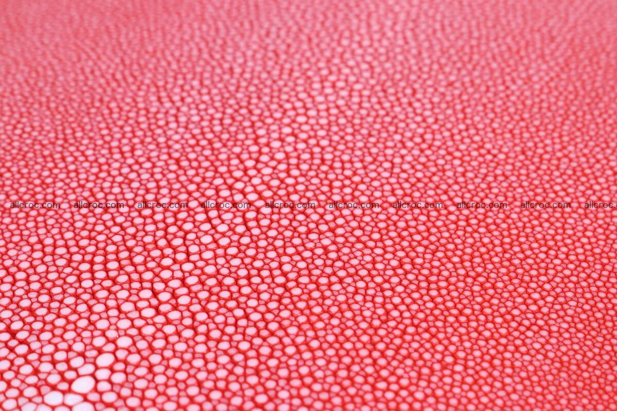 Sanded stingray skin long shape 8 inches 1276 Foto 2