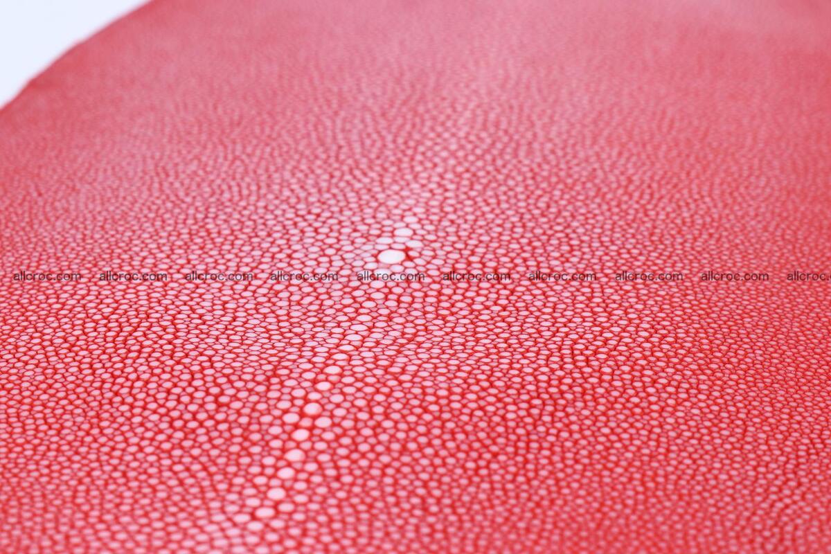 Sanded stingray skin long shape 8 inches 1276 Foto 3