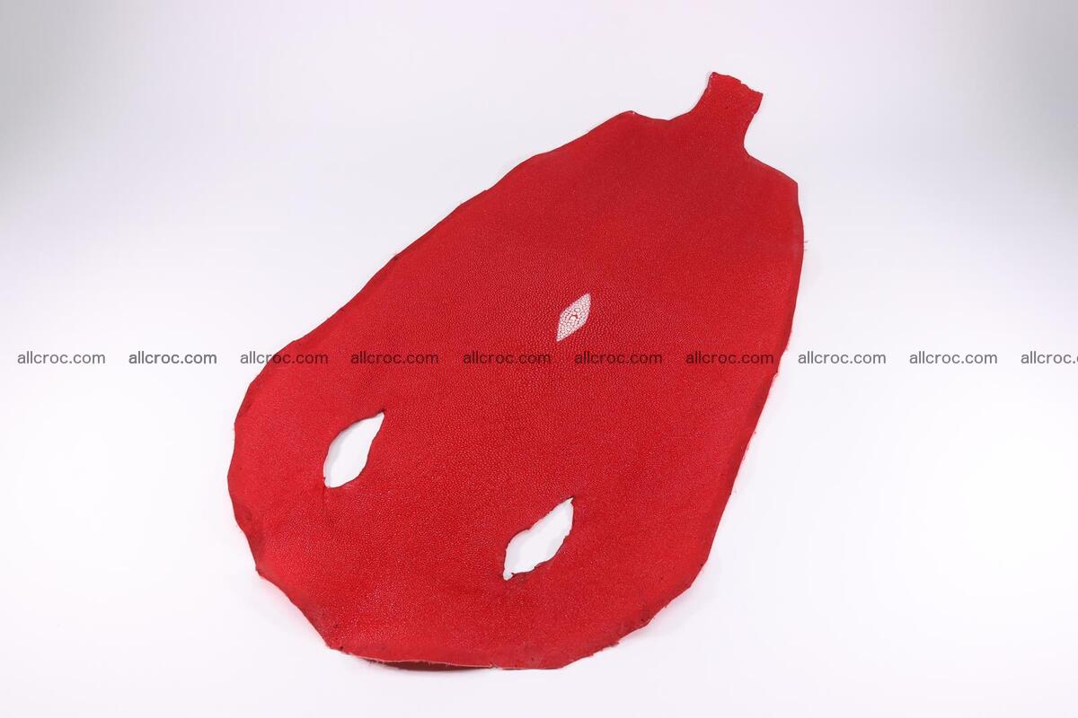 Stingray skin round shape 11 inches 1269 Foto 0