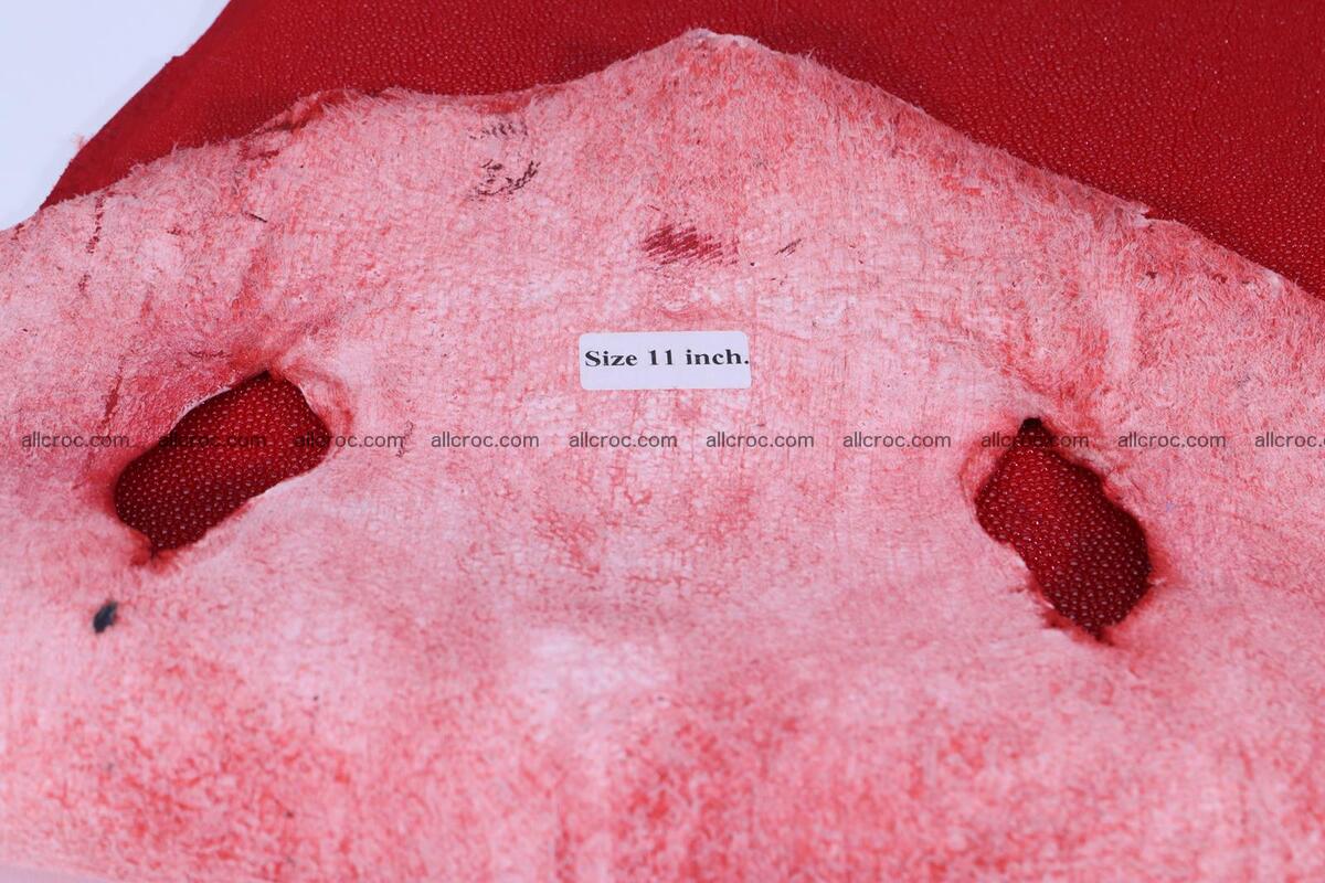Stingray skin round shape 11 inches 1269 Foto 3