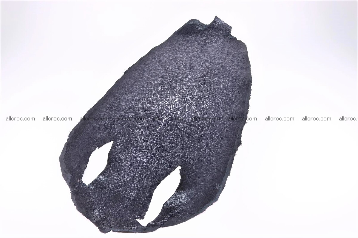 Sanded stingray skin round shape 12 inches 1271 Foto 0