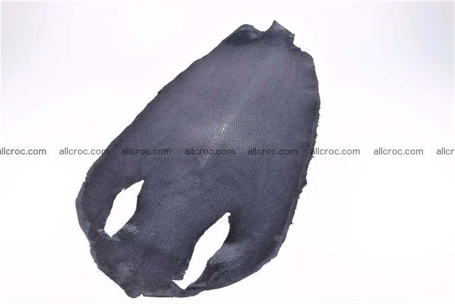 Sanded and polished stingray skin round shape 12 inches 1271