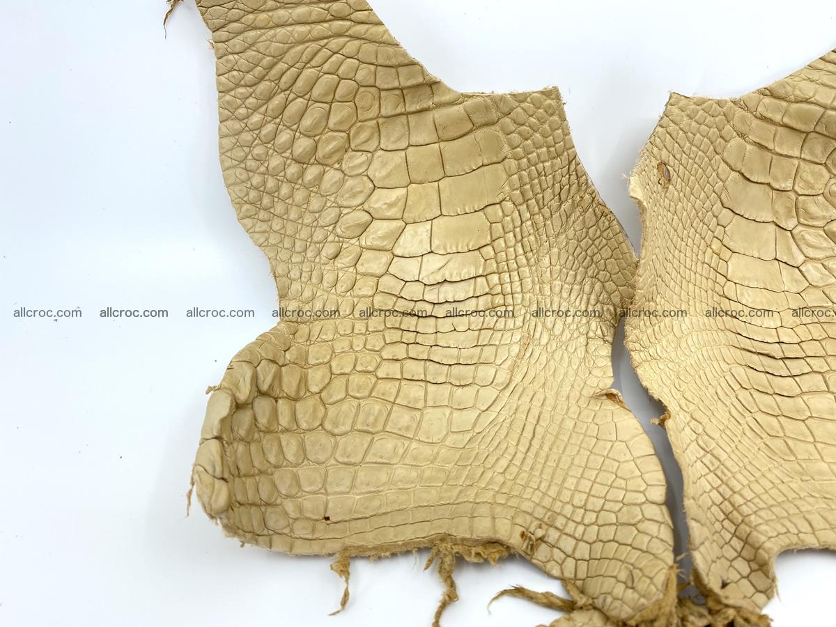 Crocodile leather for handcrafting  836 Foto 1