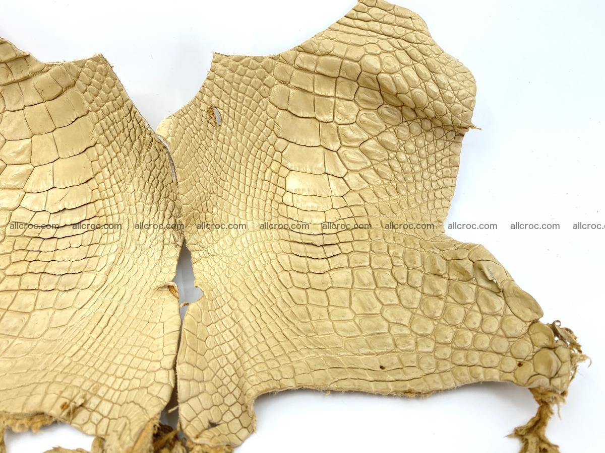 Crocodile leather for handcrafting  836 Foto 2