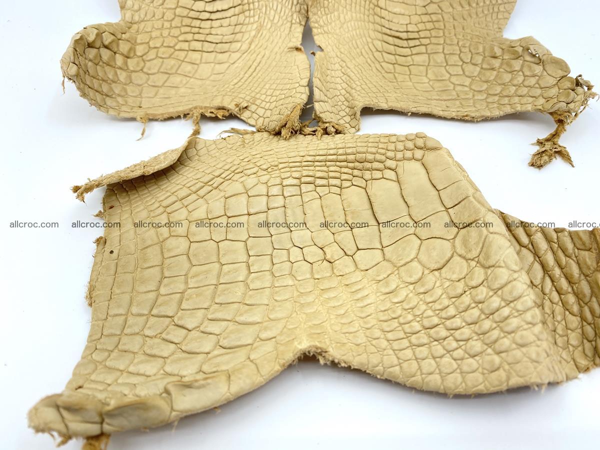 Crocodile leather for handcrafting  836 Foto 3