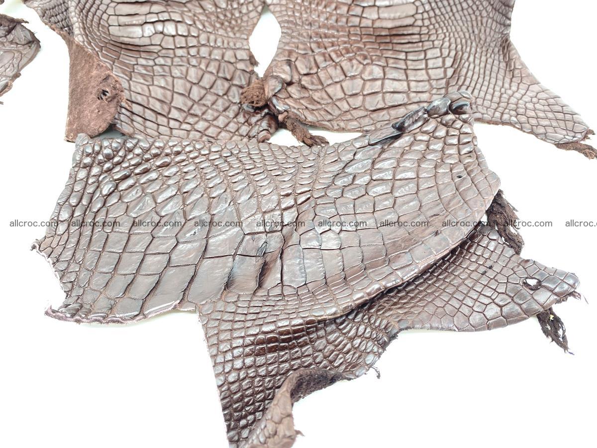 Crocodile leather for handcrafting  835 Foto 2